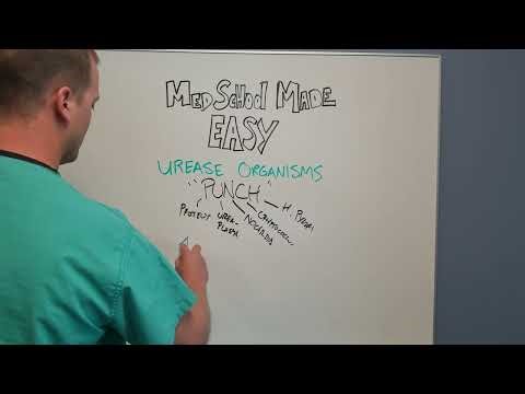 'PUNCH:' Urease-Producing Organisms