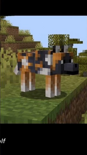 Different type of dogs in minecraft ❤️❤️❤️