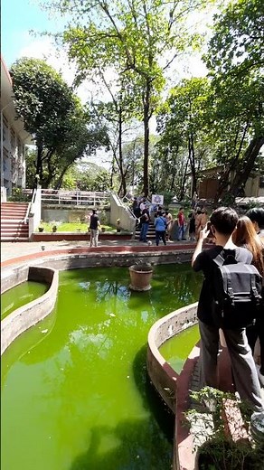 UP oblation run 2023.bird watching#UPOblationRun2023 #birdwatching