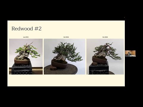 American Bonsai Association Sacramento presents Sam Tan discussing coastal redwood bonsai.