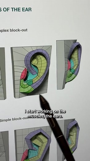 Now knowing anatomy will show in your 3D artwork! Get better at it with Anatomy For Sculptors books! Use code "stealthy" for 10% off. Video by @abovewongart with @anatomy4sculptors | Anatomy For Sculptors | Facebook