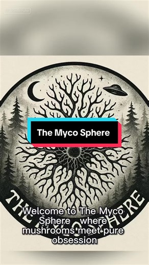Welcome to@The Myco Sphere — where mushrooms meet pure obsession. 🌲🍄 Based out of the misty Pacific Northwest, this mycologist dives into everything: gourmet species, functional powerhouses, and the wild world of actives. His content is crisp, smart, and actually fun to watch. If you’ve ever wanted to understand fungi — from the forest floor to the petri dish — he’s here to bring mycology straight to you. Hit follow and step into the mycro sphere 🍄✨#CapCut