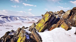 Frozen Bird Discovered in Siberia Ends Up Being 46,000 Years Old