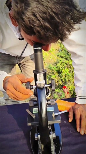 panipuri checked in microscope #micrscope #experiment #megazone