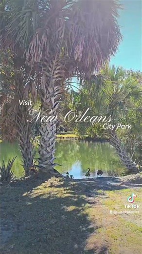 Visiting City Park for the Perfect Day Out in New Orleans