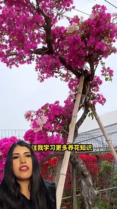 1.1M views · 15K reactions | Reproduce tus plantas #plantas #flooring #plants | Mayrasak | Facebook