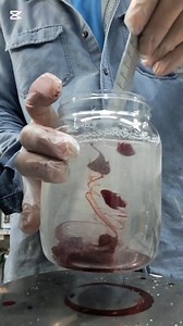 Ford paint code RR RED TONER #paintmixingtutorial #paint #painting | Juanito Asenas Futalan