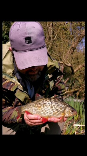 What a beautiful Spring were having, a few April showers would be perfect. #carp #tench #Bream #feederfishing #floatfishing | Martin Weaver All round Angling