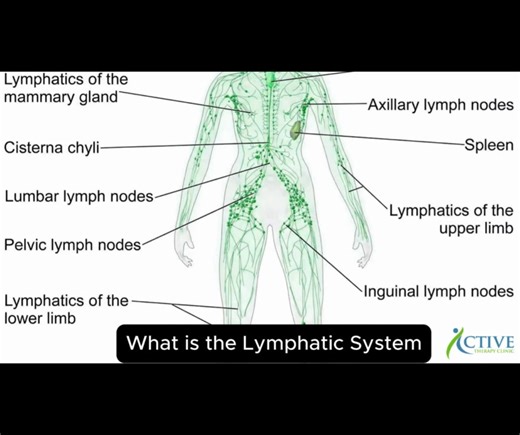 What is the lymphatic system? 🤔 The lymphatic system is your body’s clean-up and drainage network. It: • Removes waste, toxins, and excess fluid • Supports your immune system • Helps reduce swelling and inflammation Unlike your heart, the lymphatic system doesn’t have a pump — it relies on movement, breathing, and muscle activity to keep fluid flowing. When it works well, you feel lighter, healthier, and recover faster. When it slows down… symptoms can appear. | Active Therapy Clinic