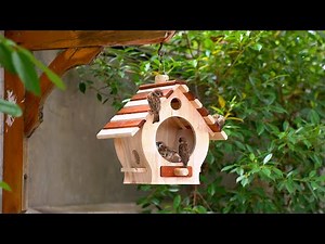 Build Your OWN Adorable Bird Feeder at Home!
