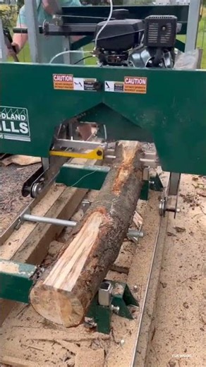 The procces cutting spliting wood in sawmil