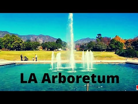 Walking tour of Los Angeles County Arboretum & Botanic Garden in Arcadia, CA [4K]