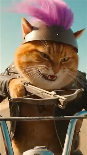 Furry Road - Mad Max Parody 😹 #action #parody