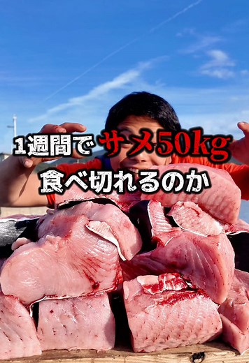 サメを美味しく食べる方法！
