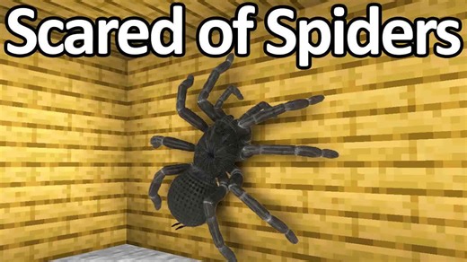 Types of people portrayed by Minecraft #33