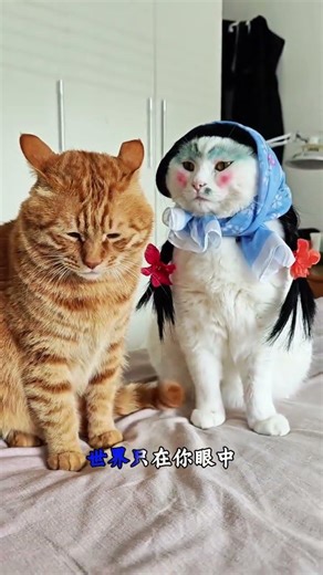 Just take a look at cat makeup, cosplay, and emotionally stable cats