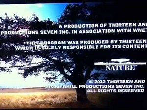 WNET Thirteen (2012) Logo