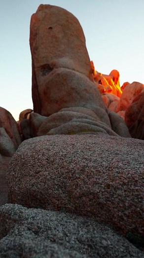 Switch to Sony Alpha 7C II: Photographer's Adventure