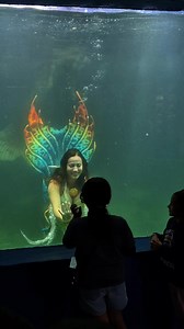 Eu amo meu trabalho 🫶🏼✨ #sereia #guaruja #mergulho #mermaid #santos | real mermaids in real life
