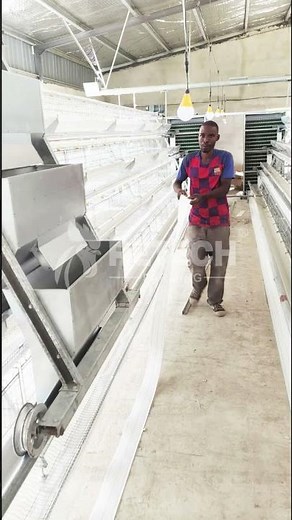 automatic layer poultry farm construction plan | chicken house design - RETECH Farming