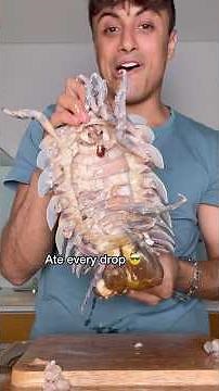 Eating MASSIVE Isopod