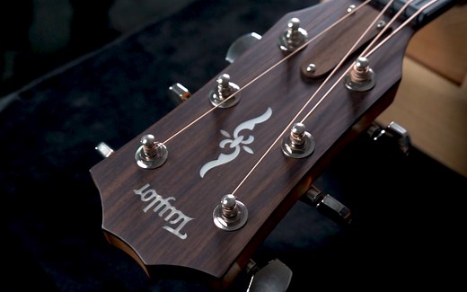 【Taylor 414ce-R】评测，两万多值不值？玩指弹选他好不好？