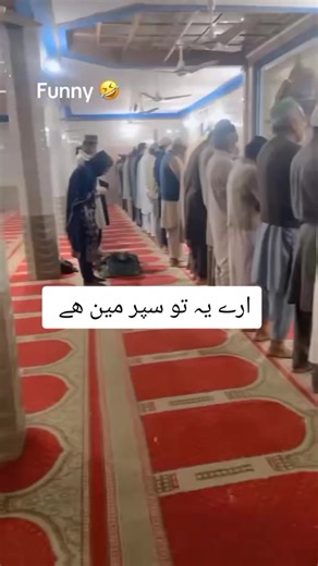 Superman Character Spotlight