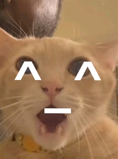 Creative Fan Art Ideas Inspired by Spongebob