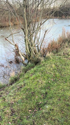 #asmr #satisfyingvideos #fyp