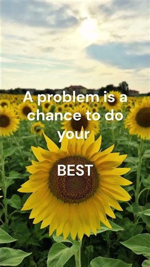 Professional Pointer- Problem or Possibility