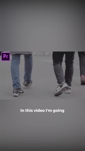 Aplicar un Efecto de Grano de Película Animado en Premiere Pro