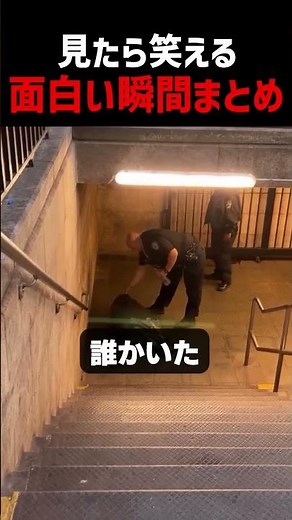 見たら笑える面白い瞬間まとめ