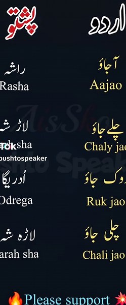 Learn Pashto Language with Our Complete Course