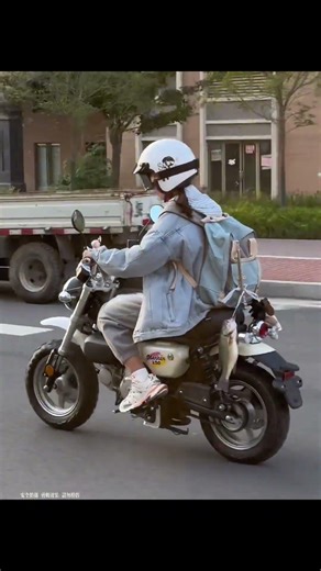 Brother Fish, don't fall asleep yet, we're almost home! #MankinLing #SmallMotorcycle #rymic