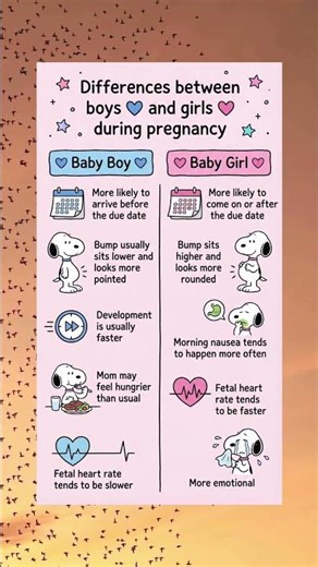 Baby Boy 💙vs💗 Baby Girl pregnancy signs #postpartum #baby 