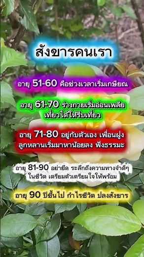 คำคม ความเชื่อ คติธรรม คติสอนใจ กำลังใจ #พลังบวก #คำทำนาย #ผู้สูงอายุ #วัยเกษียณ #รักสุขภาพ #ฮีลใจ