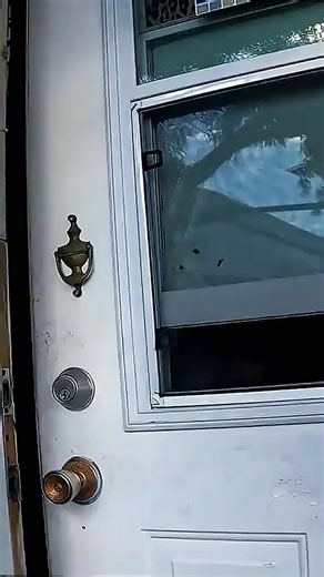 # #homeless #money #kindness #family #surprise