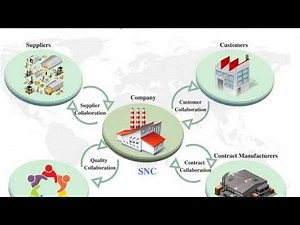 SAP SNC Online Training Video