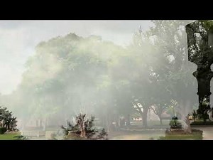 Crazy microburst type storm with 60+mph wind, small hail, and heavy rain in Sherman Texas 9/21/25