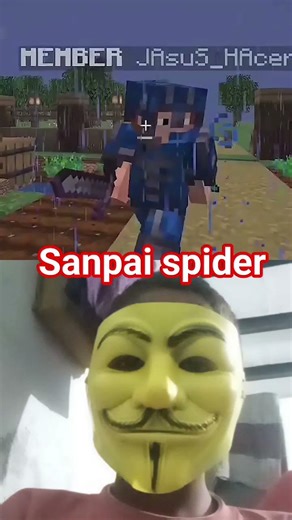 How l killed a HACKER in This Minecraft smp