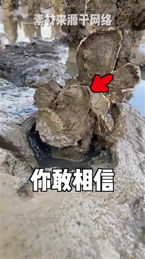 Fishing Adventures with Beautiful Women