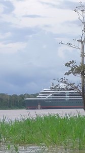 From the wildlife perched along the towering treetops to the amphibious creatures that live along the river’s shoreline, the Amazon is rich with natural wonders and incredible wildlife. Embark on an immersive river safari as our Expedition Team guides you through the world’s largest rainforest via Zodiac and kayak while sailing with your ultra-luxury home at sea, Seabourn Venture. Have you explored the Amazon with us? https://bit.ly/SBN-Amazon | Seabourn