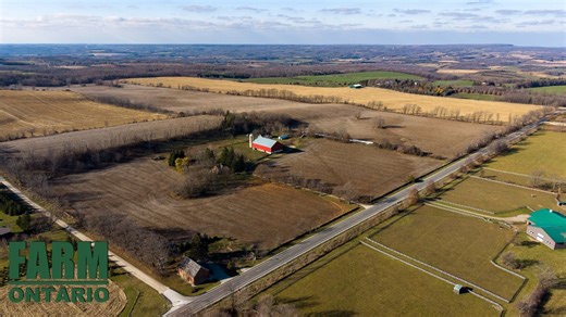 📍137204 Grey Road 12, Meaford 💲$3,475,000 🌱A rare 200-acre farm offering workable land and picturesque views 👉 200 acres with 155 workable acres (beans/corn in 2025) 👉 Productive Harkaway loam soil and frontage on two roads for easy access 👉 Solid older bank barn suitable for livestock or storage 👉 Classic farmhouse ready for renovation into a charming country retreat This is ideal for farmers, investors, or those seeking a substantial rural property with potential. 📄 Offers on Dec 19 Ca