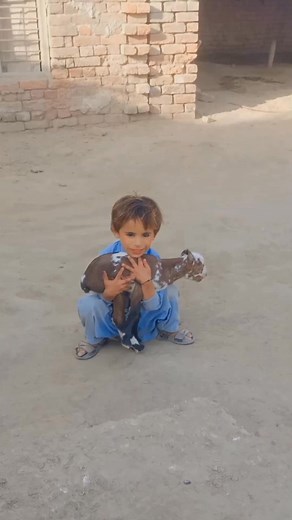 Son Muhmamd Anas ♥️ Mashallh ♥️ | Abdul Baari Pitafi