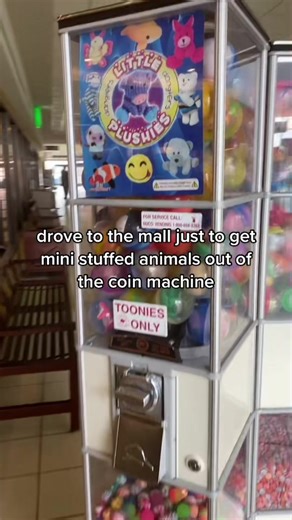Collecting Mini Stuffed Animals from Claw Machines