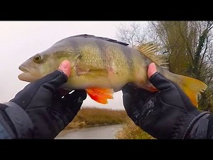 HOW TO TIE A DROPSHOT RIG FOR BIG PERCH