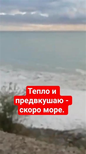 Лучше дача🏡🌊#shorts