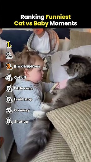 Ranking Funniest Cat vs Baby Moments #shorts