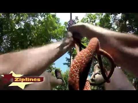 Skytop Treetop and Ziplining Adventure