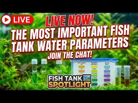 [LIVE] The Most Important Aquarium Water Parameters - Plus a Giveaway and Fish Q&A!